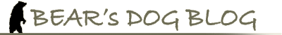 BEAR's DOG BLOG - title graphic